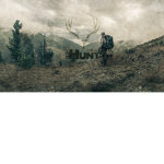 American Deer/Turkey Hunters