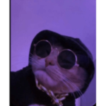 DP$