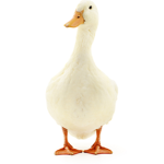 Quickerpickerupper
