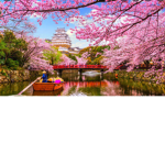 Sakura 桜 Highschool