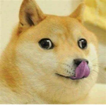 DA DOGE MEME FAN CLUB