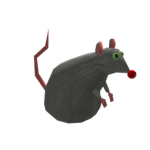 Louie The Rat Group