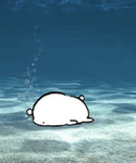 김뽀미 팬클럽
