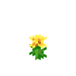 *~The Little Dandelions~*