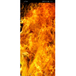 Fire_fox_gang