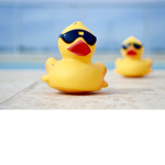 WeTheEpicDucks__