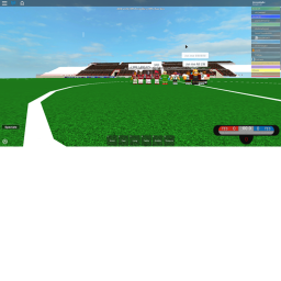Manchester United Pitch ||