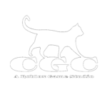 CAT GROUP CORP