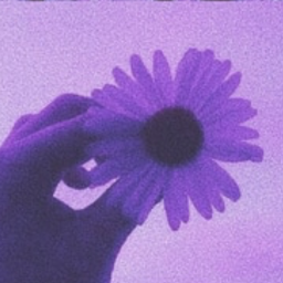 ✧