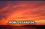_Robloxian2134_