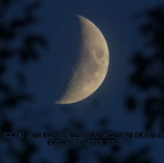 The Order Within Moonlight