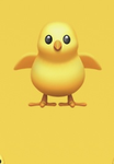 Chicki crew