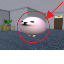 ROOMS BUT EGGDOG