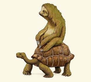 Turtle._.sloths's  Course/Run Statics 