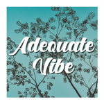 Adequate Games, Inc.