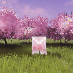 Blossom hangout 🌸