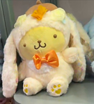 Pompom fans <3~