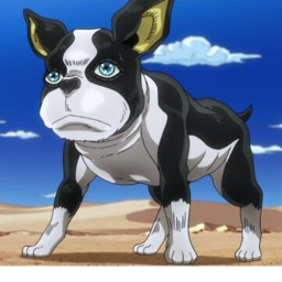R.I.P iggy