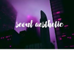 The aesthetic group.