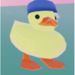 ~*Jj’s Ducks*~