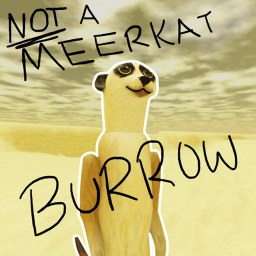 not a meerkat burrow