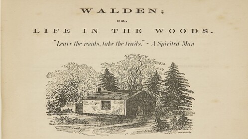 WaIden Park