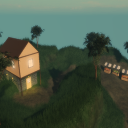 The lonely house