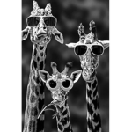 The Giraffe Clan.