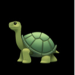 DND FOR LIVE(turtle gang)