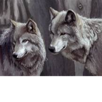 she/he wolf packhi