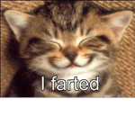 Holy water kittens<3