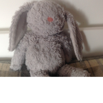 Bunny's are happy