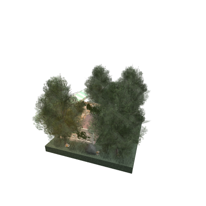 a very green garden