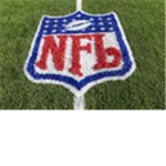 NRFL{national rolbloxian football leauge}