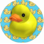 ~* DUCK SQUAD *~