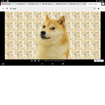 We love dogs woof woof