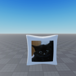 pillow with kitten buy (40% discount)