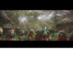 The Ecindia tribe