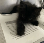 ' kawaii