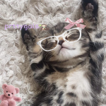ʚɞ prttygals! ʚɞ