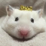 Rat Queens Fan Group