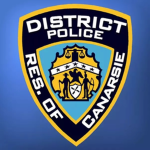 Brooklyn Canarsie Police Department