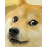 Only for people wants robux from me because I'm a