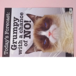 Grumpy cat fan club forever