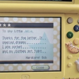°❀⋆.✨*:･