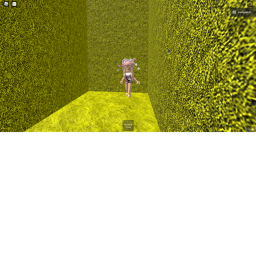 Capture The Flag!