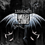 LOS ÁNGELES CAÍDOS