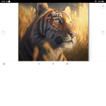 The striped beasts