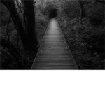 paranormal people