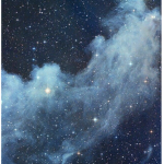 •Star Dust•